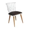 RS-1194 2 rs 1194