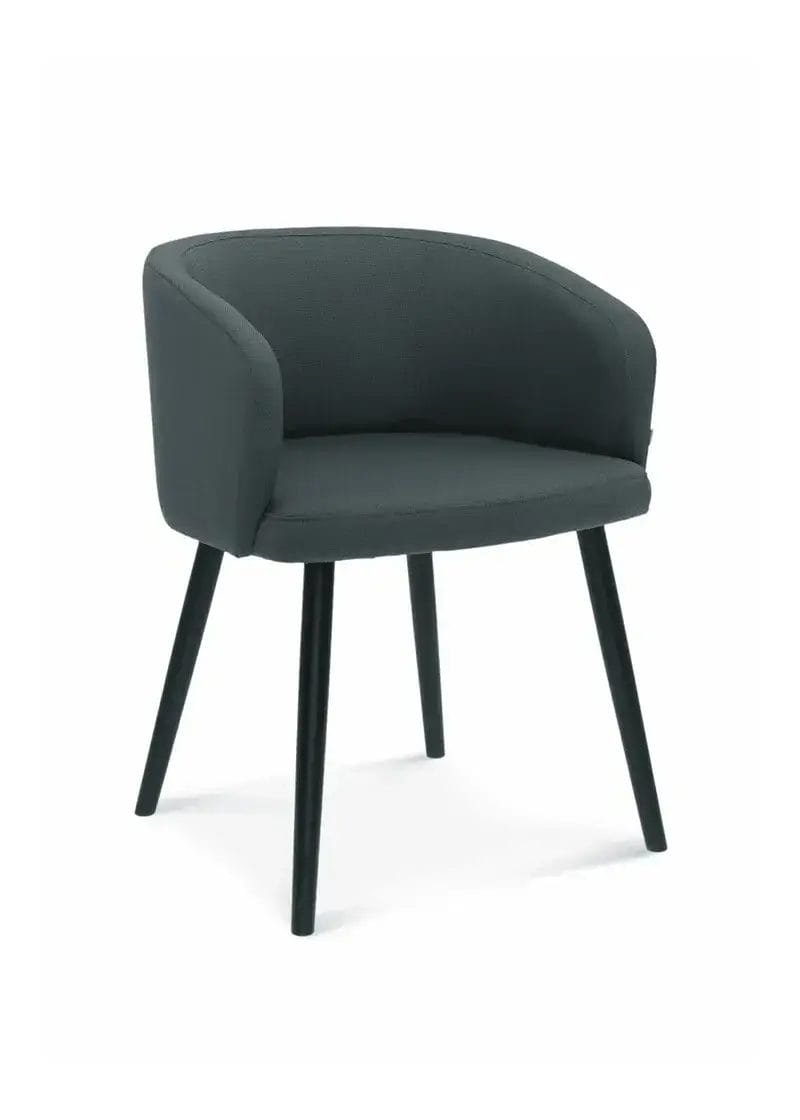 Skip Karmstol 1 Skip Fatolj 1524 1